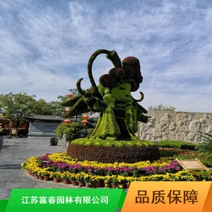 ���廨̳����_Բ�ξ������廨̳_�������廨̳�۸�