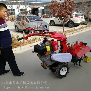 С�Ͳ�ݮ��¢������/�¿�ũ�ò�԰����������/��лƽ�������