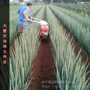 ��п��������� ��԰ʩ�ʿ����� ������Զ��е