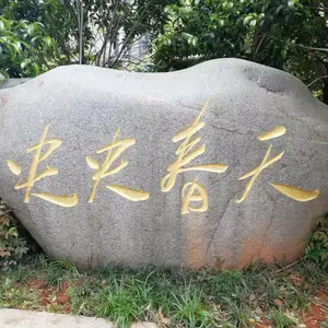 襄阳草坪景观石设计-20亩景观石基地