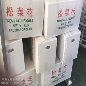 �������ʰײ˻�_ҩ�ò˻����ر���_�������Ȱײ˻�