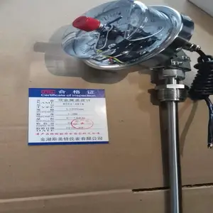 ��ӵ�˫�����¶ȼ�\WSSX-411B\0-100��\500mm\������