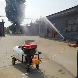 ���Ϳ����ܽ��ش�ҩ�� ��ͥ�˵��Ͳ˴�ҩ�� ·����ľ������