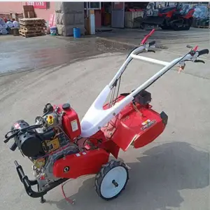 �����˵س��ݸ��ػ� ����������԰������ ����ʽ���������� ΢����