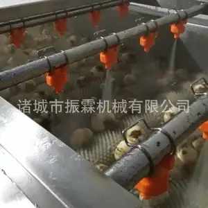 供应全自动百合清洗机 大蒜清洗机 果蔬清洗机 振霖清洗设备 清洗流水线