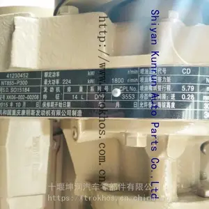 ���翵��˹��������ܳɷ������ܳ�NT855-P300