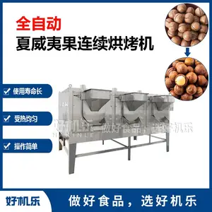 食品厂大型全自动夏威夷果烘烤加工设备