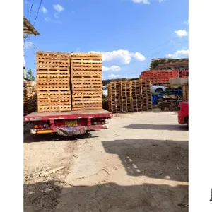 ����������ľ�������� ������˴��װ��Ӧ
