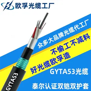 GYTA53双层铠装地埋光缆 专用直埋 安全可靠