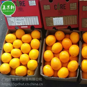 新鲜水果南非CORE脐橙茶饮榨汁专用30斤广州江南市场