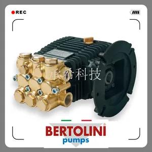 意大利 高压柱塞泵 BERTOLINI 喷雾 除尘 降温泵WMC1515
