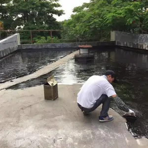 东莞万江防水公司