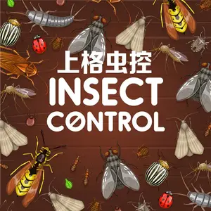 �Ϻ��ϻ��������� ��Ч��ļ�ͥ������ɱ Ч���ð�������ɱ