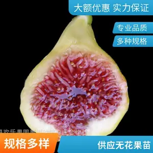 �޻����� ������� ����Ʒ�� �������Ͻ�� �޻�������