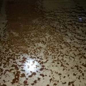深圳龙华水池清洗消毒出水质检测报告