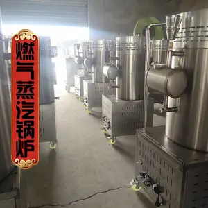 混凝土蒸汽硬化服装印染食堂蒸包子蒸汽不锈钢燃气蒸汽发生器