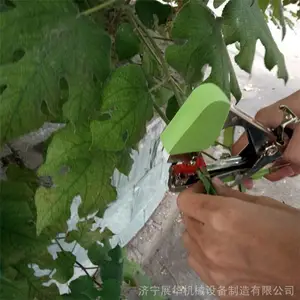 �ֶ������������� ֦������� �����ð�֦��С��