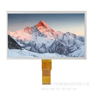 10.1寸液晶屏 1024*600 RGB接口 宽视角长排 群创玻璃 50pin TFT LCD模组