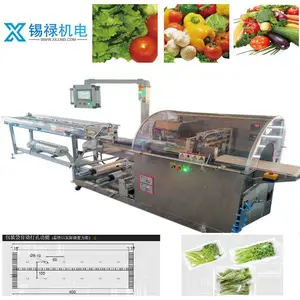 SGM090-3A-P/T����Ĥ ȫ�ŷ�����ʽ ��ʽ��װ��@������ѯ