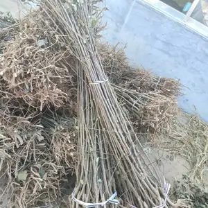 ����ƻ������ �̸�0��ƻ����۸� ��������