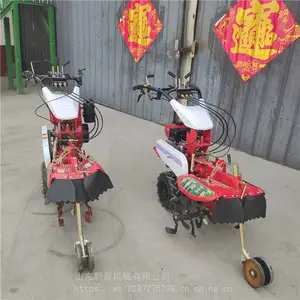 �³���ݮ������ ��԰ʩ�ʻ� �๦�ܲ��ʹ����������ֲ������¢��
