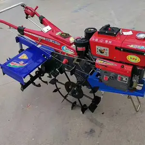 ����ũ���ַ������� С�͸���� ũ��12���������