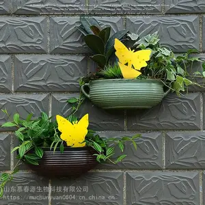 ��Ӭ�岶��� �ճ��۸����� �����ճ��� Ľ��Դ