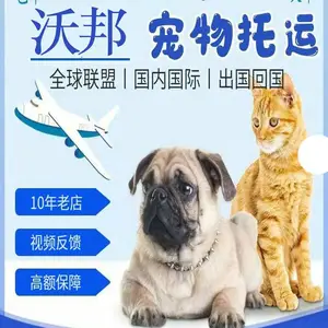 供应上海宠物托运公司