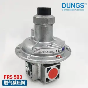 燃气减压阀FRS503德国冬斯DUNGS调压阀Rp3/8口径DN10