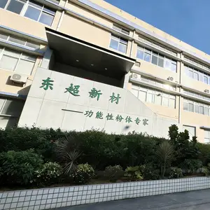 东莞东超新材料科技有限公司
