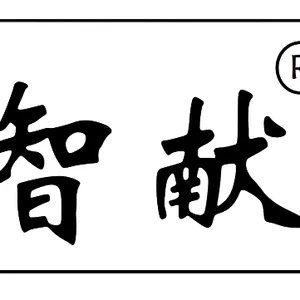 四川智献新能源科技有限公司