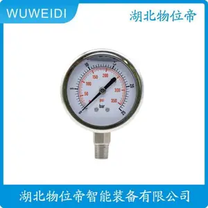 YPF-100A YPF-100B 膜片压力表 不锈钢型 物位帝
