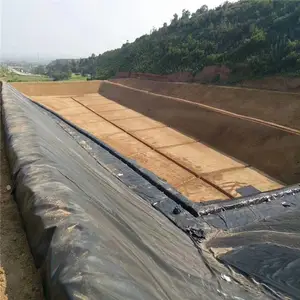 ��³ľ��2.0mmHDPE����Ĥ RunYe/��ҵ����������ڳط���Ĥ�ӹ�����