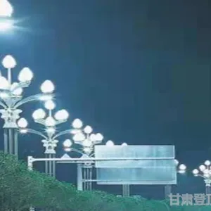 临夏景观灯生产的厂家 甘肃登顶照明工程供应