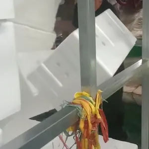 西红柿箱,甜瓜箱,瓜果用泡沫箱
