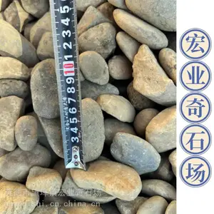 鹅卵石小路的铺设,一吨鹅卵石多少元,南海鹅卵石批发