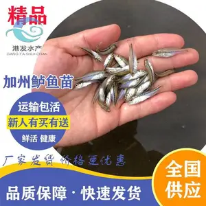 ���������������Ӧ ***�������൭ˮ���� ������ �ƹǻ�������������