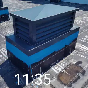 ������������ʽ��ñ �̵����Ͻ��̴�ñ��Ʒ��Ҷ�������ඨ��