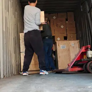 ŷ�޵¹���������������˫���˰��½����