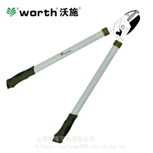 ��ʩworth԰�ո�֦����֦�������֦����֦�����ձ����ڵ�Ƭ1215