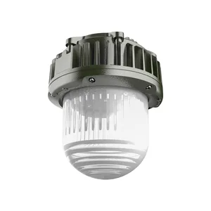 LED防爆灯 加油站LED防爆平台灯灯 led防爆平台灯