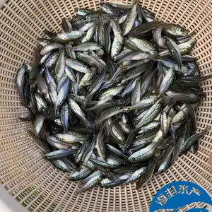 �����ṩ�ʻ����������_�����ˮ����ֳ·����-******ˮ��Ʒ