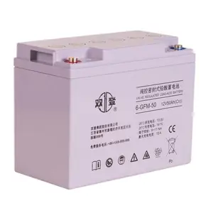 ˫������6-GFM-24 ����Ǧ����ά��12V24AH��������Ӧ����Դר��