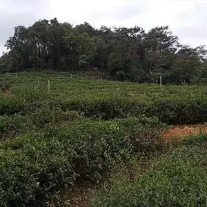 泉州灌溉工程-灌溉工程施工-福州雨顺灌溉(推荐商家)