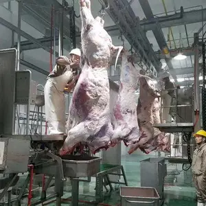����ţ���ع̶�վ̨ ����˫������̨ �����������̨ �޸�˫������̨
