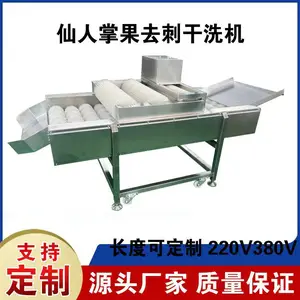 仙人掌果去刺清洗机双面毛辊高压喷淋清洗机仙桃去刺清洗土豆去泥清洗桃子干洗水洗清洗机设备