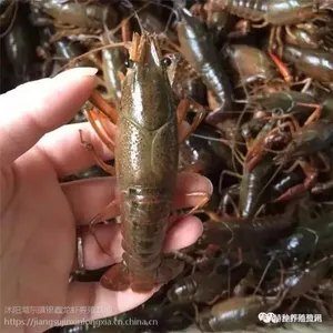 С��Ϻ��Ϻ��Ϻ��
