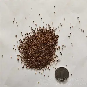 �����²ݻ����� ��ɫ������ ��ѿ*** �۸���� ***
