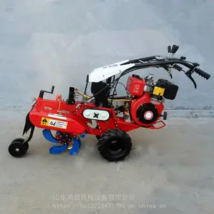 �賬��д󽪿����� �����԰���������� С����԰������
