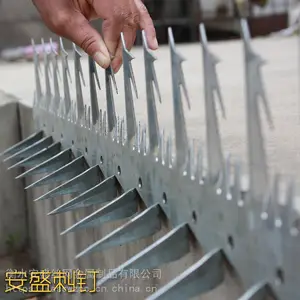安盛围墙防爬刺钉别墅护栏管道刺防爬刺报价